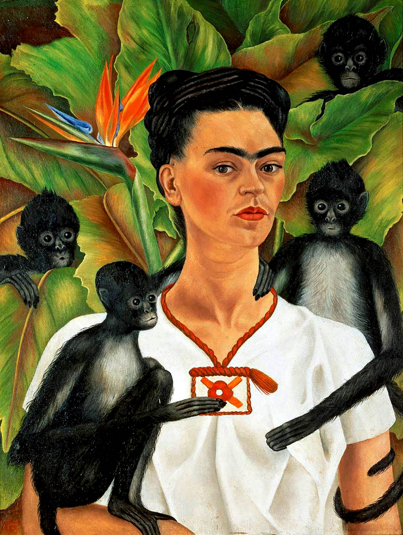 Monos Frida Kahlo