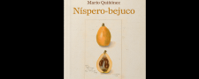 Níspero-bejuco