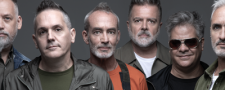 Los Pericos