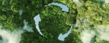 Liderazgo y gobernanza universitaria sostenible, camino hacia la agenda 2030