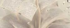 Día Internacional del Libro: el arte de la palabra