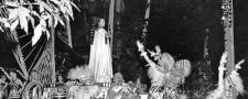Celia Cruz: vida, arte e impacto de su figura