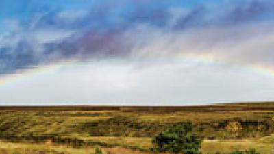 Desafíos de los Pueblos Indígenas en materia de diversidad
