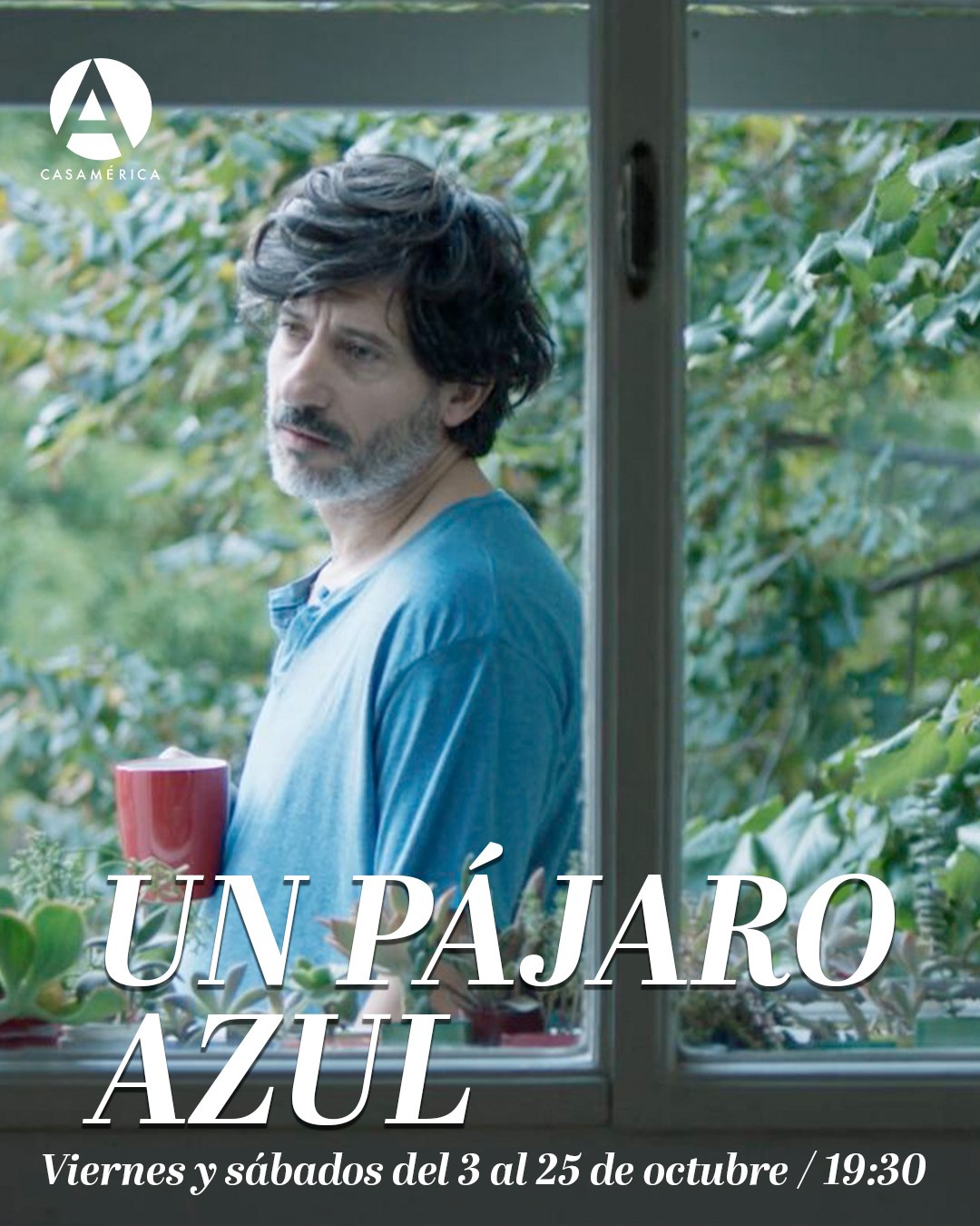 🎬🇦🇷 Proyectamos 'Un pájaro azul' (@unpajaroazul.pelicula), de @arielrotter, en la Taquilla del Fin de Semana.
Una historia sensible e intimista que explora la maternidad, las relaciones de pareja y el camino hacia la paternidad.

🤝 Con @tareafinacine y @reversofilms.

📅 Viernes y sábados del 3 al 25 de octubre.
⌚️19:30.
📍 Sala Iberia, Casa de América.
🎟 Entradas en venta.

🔗 Más información en nuestra web, enlace en la biografía.
