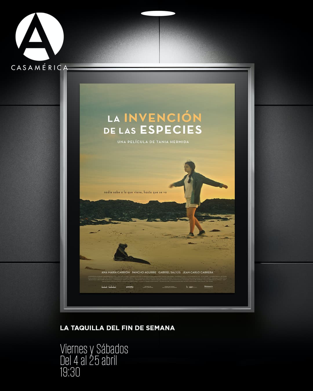 🐢 𝐄𝐬𝐭𝐫𝐞𝐧𝐨 𝐞𝐱𝐜𝐥𝐮𝐬𝐢𝐯𝐨 | '𝐋𝐚 𝐢𝐧𝐯𝐞𝐧𝐜𝐢𝐨́𝐧 𝐝𝐞 𝐥𝐚𝐬 𝐞𝐬𝐩𝐞𝐜𝐢𝐞𝐬', 𝐝𝐞 𝐓𝐚𝐧𝐢𝐚 𝐇𝐞𝐫𝐦𝐢𝐝𝐚.

"Desde adolescente, la imagen de esos confines volcánicos, donde la mutación es estrategia de supervivencia, ha acompañado mis indagaciones sobre las rarezas de nuestra especie". Con estas palabras, la cineasta ecuatoriana presenta su cuarto largometraje en nuestra Taquilla de Fin de Semana.

La película nos traslada a las Islas Galápagos junto a Carla, una adolescente en pleno duelo que, entre biólogos y curanderas, descubre que sobrevivir —como las iguanas que mutaron en criaturas marinas— también consiste en aprender a contar nuestra propia historia.

🤝 @lainvenciondelasespecies.
📅 Viernes y sábados, del 4 al 25 de abril.
⌚ 19:30.
📍 Casa de América – Sala Iberia.
🎟️ Entradas en venta.

🔗 Consulta la hoja de sala completa en nuestra web.

#CineLatinoamericano #TaniaHermida #Ecuador #CineEcuatoriano #Galápagos
