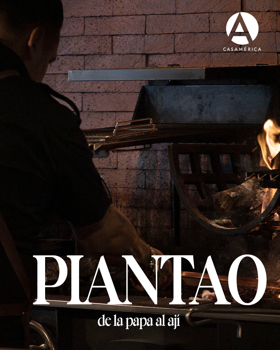 🎥 El fuego como punto de partida. La parrilla como lenguaje. En nuestro ciclo ‘De la papa al ají' visitamos al restaurante argentino en Madrid @piantao_es, donde la tradición del asado se replantea desde una mirada contemporánea.

En este video, su propietario y chef ‪Javier Brichetto nos muestra la preparación de un lomo alto argentino de novillo de la Pampa, con detalles sobre la cocción a la brasa y el proceso previo de salado para trabajar el sabor y la textura.

📺 Video completo en nuestro canal de YouTube, enlace en la biografía.

#Gastronomía #Argentina #Parrilla #Madrid #DeLaPapaAlAjí