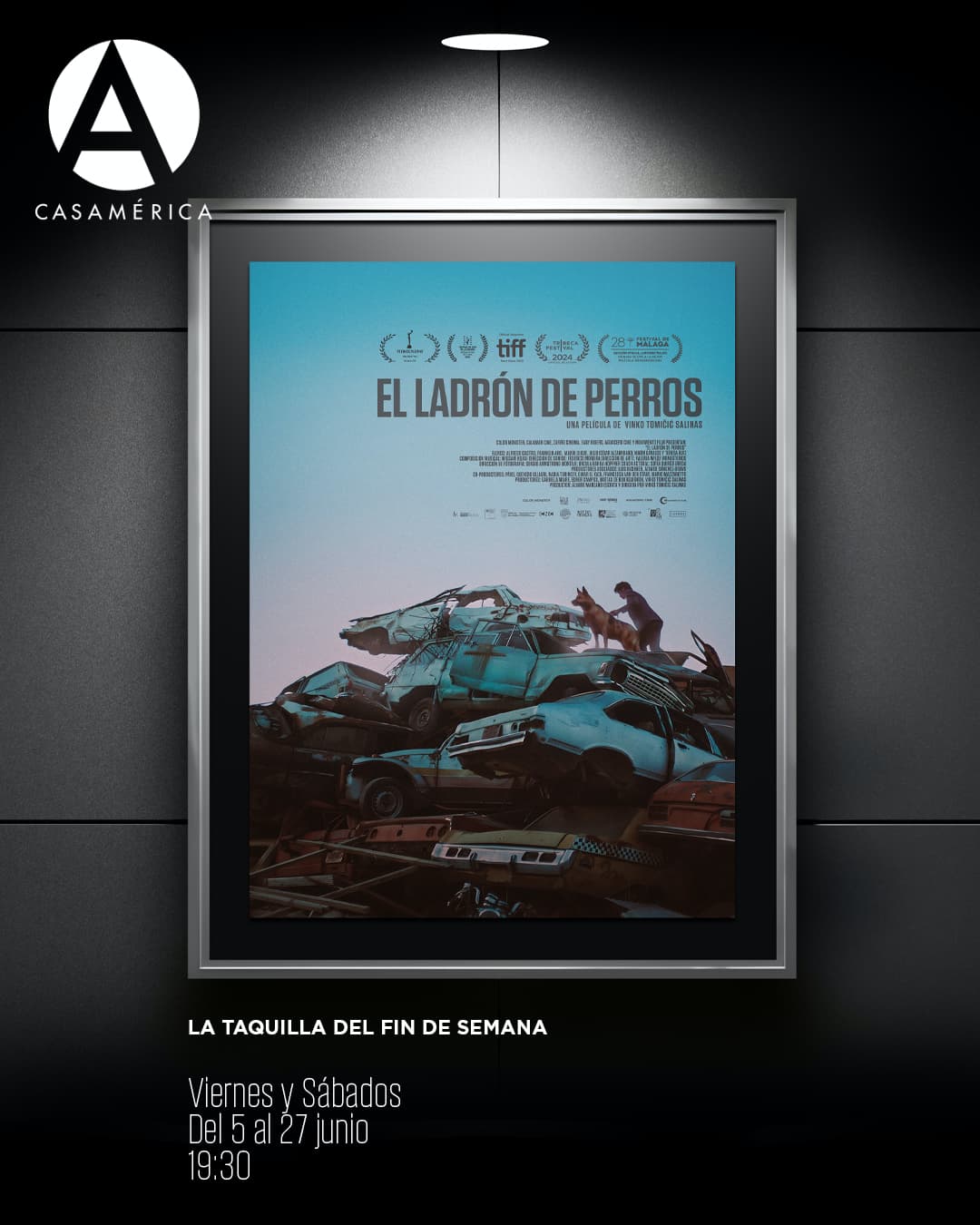 🎬🐕 𝐄𝐬𝐭𝐫𝐞𝐧𝐨 𝐞𝐧 𝐞𝐱𝐜𝐥𝐮𝐬𝐢𝐯𝐚: 𝐄𝐥 𝐥𝐚𝐝𝐫𝐨́𝐧 𝐝𝐞 𝐩𝐞𝐫𝐫𝐨𝐬.

Llega a nuestra Taquilla de fin de semana la última película de Vinko Tomičić, protagonizada por Alfredo Castro. Tras su paso por festivales como Tribeca, Málaga, La Habana y Lima, este relato nos sitúa en las calles de La Paz para seguir la historia de Martín, un joven limpiabotas que busca su identidad en un entorno de soledad y esperanza.

Un debut en solitario que ha cosechado premios internacionales a Mejor Guion y Mejor Ópera Prima, consolidándose como una de las propuestas más potentes del cine latinoamericano reciente.

📅 Viernes y sábados del 5 al 27 de junio.
⌚ 19:30.
📍 Sala Iberia (Plaza de Cibeles, sn).

🔗 Consulta la hoja de sala y más información en el enlace de la biografía.

#CineLatinoamericano #Estreno #Chile #Bolivia