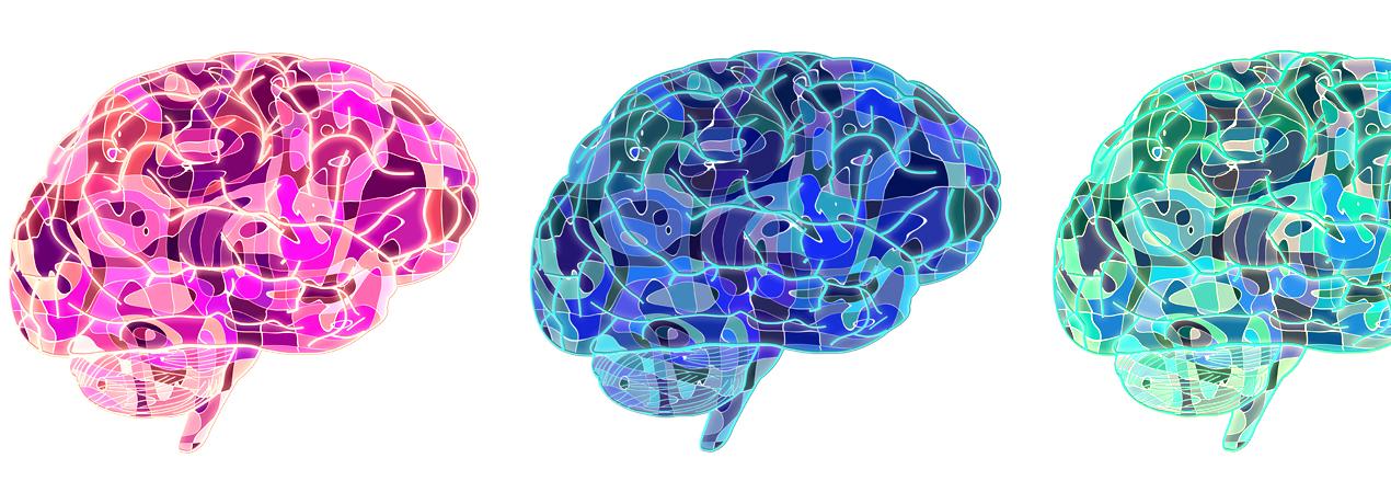 ¿Qué sabemos de la mente y del cerebro?