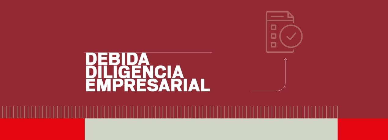 Debida diligencia empresarial