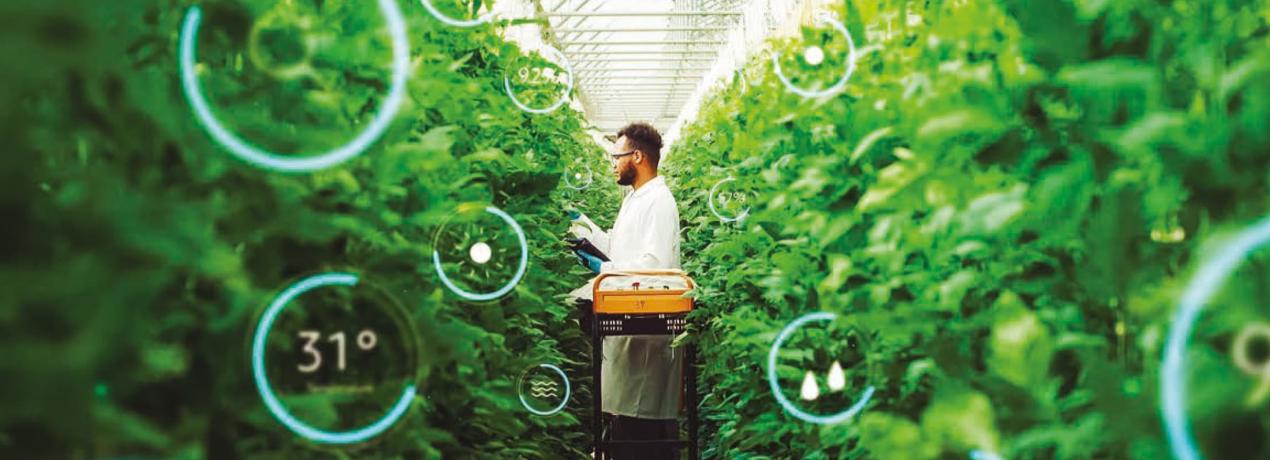 Perspectivas económicas de América Latina 2025