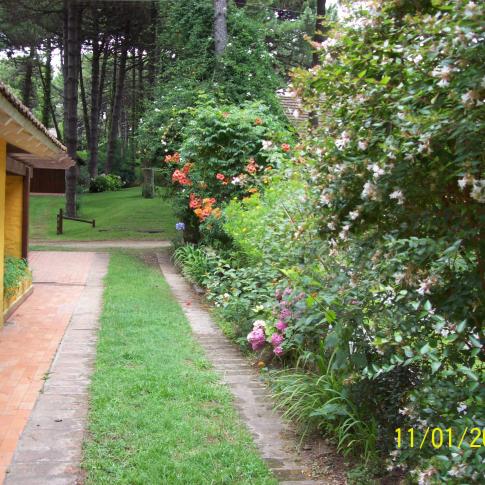 En plena naturaleza