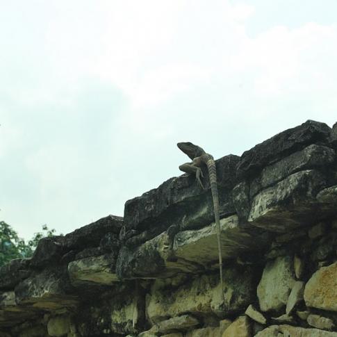 Palenque