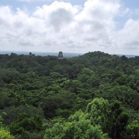Tikal