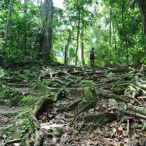 Tikal