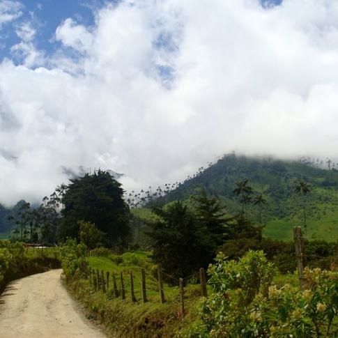 Camino a La Montaña