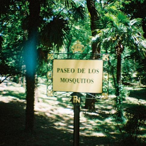 Cuidado mosquitos