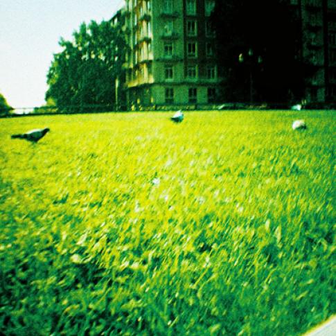 Madrid Verde