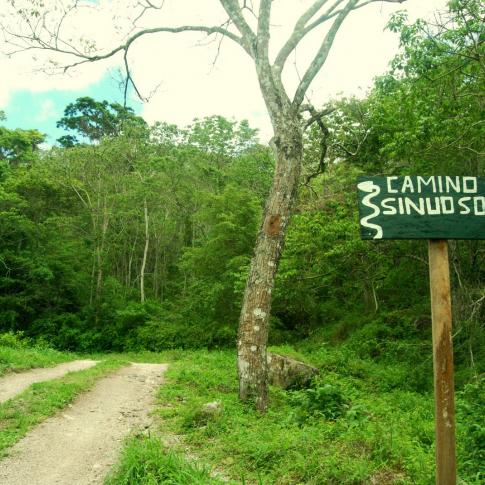 Camino sinuoso