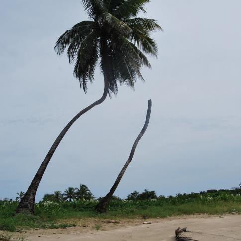 Corn Islands