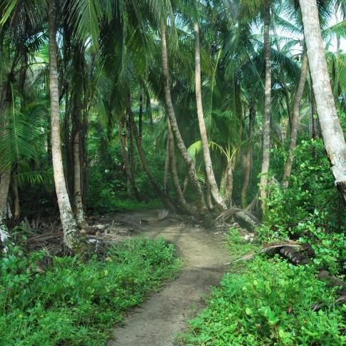 Corn Islands