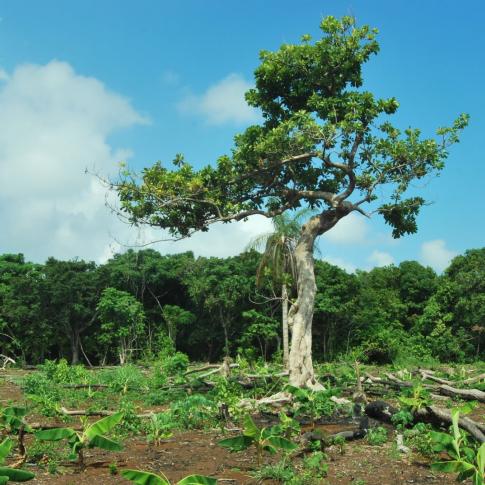 Corn Islands