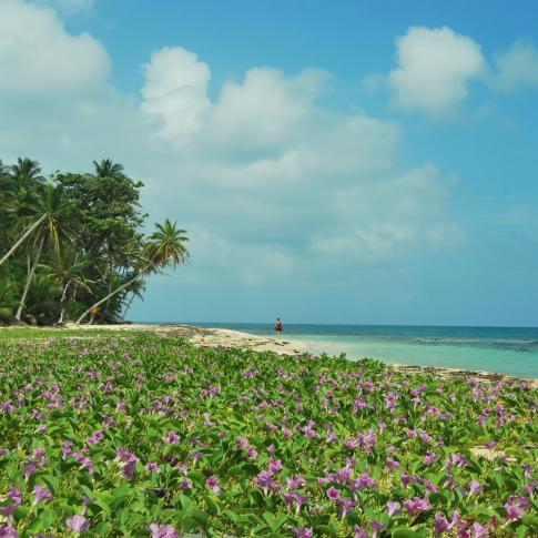 Corn Islands