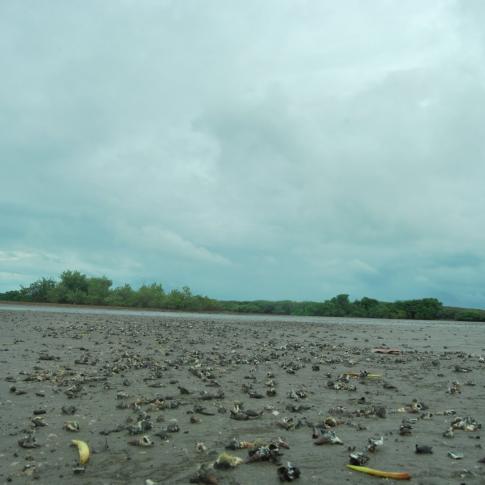 Las Peñitas