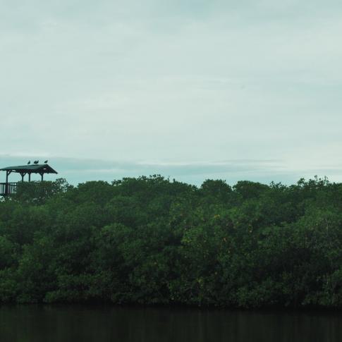 Las Peñitas