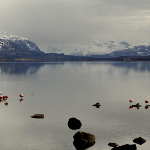 Puerto Natales