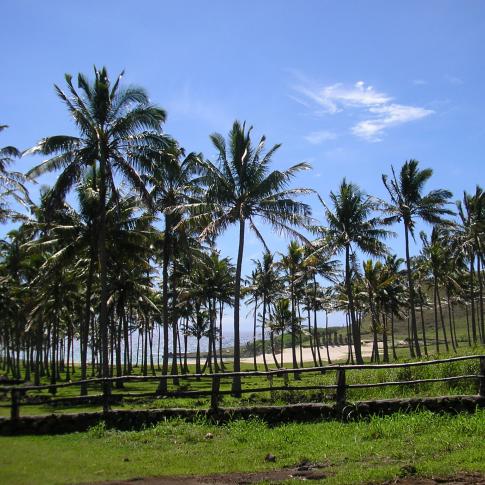 Puerto con barcos