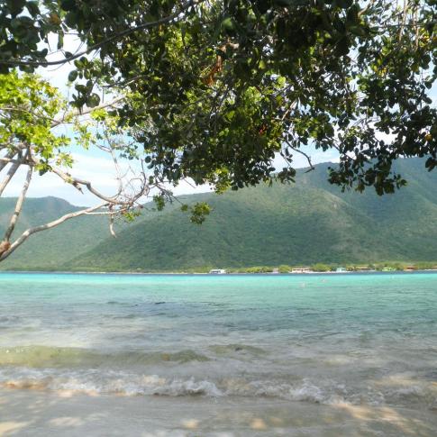 La ciénaga de Ocumare