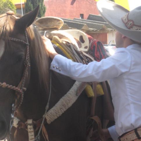 Los charros preparan sus caballos y su atuendo.