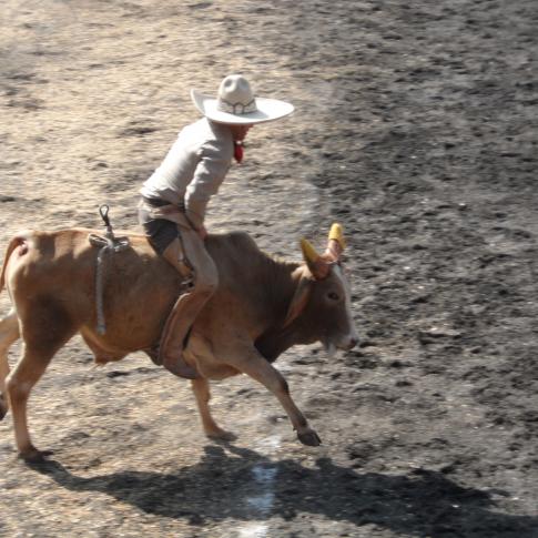 La práctica del deporte requiere de mucha disciplina y valor.