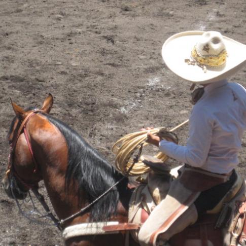 El manejo del charro con su caballo es una parte fundamental.