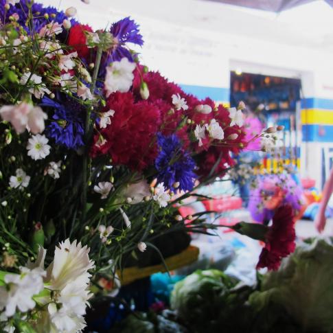 San Martín de las Flores, México