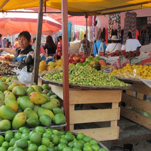 San Martín de las Flores, México