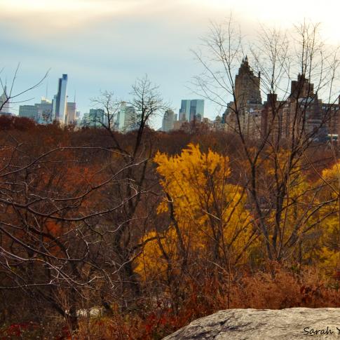Central Park, Manhattan, NY. Estados Unidos.