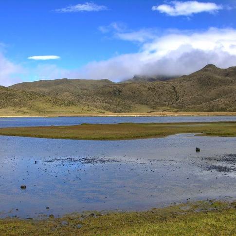 Limpiopungo