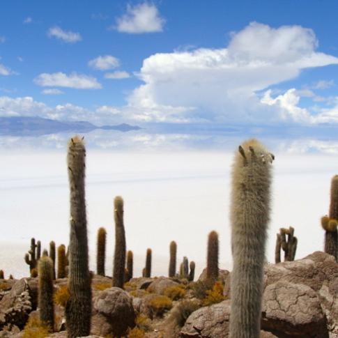 Un desierto de sal a perder de vista