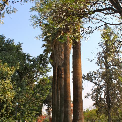 Jardines del Palacio Portales