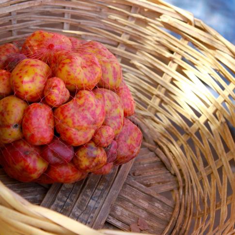Puesto de abarrotes