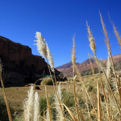 Tranquilidad en el valle