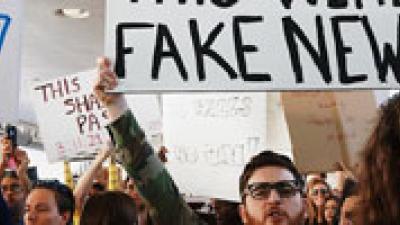 La democracia y sus trolls