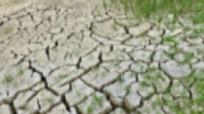 Perspectivas iberoamericanas sobre transición energética y cambio climático
